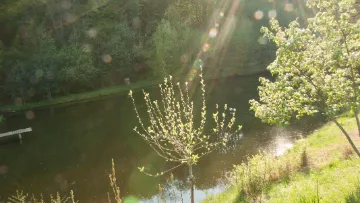 Biodiversité mares